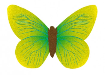 Waffel-Schmetterlinge, sortiert, 20-70mm, 260 Stück