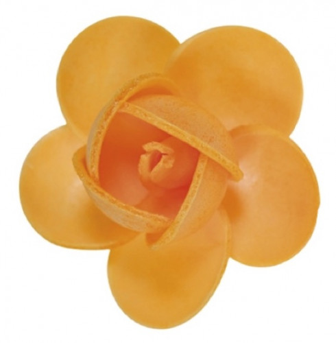 Waffel-Blumen, orange