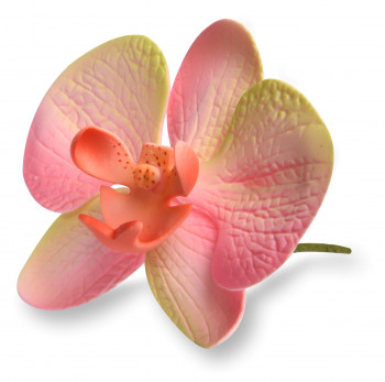 Tragant-Orchidee, sortiert, nicht essbar, 11cm, 12 Stück