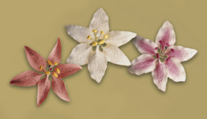 Tragant-Blumenbouquet, nicht essbar, sortiert