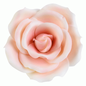Dekor-Rosen, rosa, nicht essbar, 55mm, 18 Stück