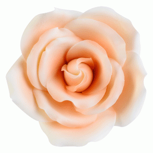 Dekor-Rosen, orange, nicht essbar, 55mm, 18 Stück