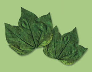 Waffel-Blätter, 2-fach sortiert