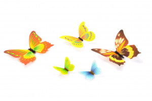 Waffel-Schmetterlinge, sortiert, 20-70mm, 260 Stück