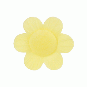 Waffel-Anemone, gelb, 30mm, 200 Stück
