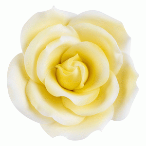 Dekor-Rosen, gelb, nicht essbar, 55mm, 18 Stück